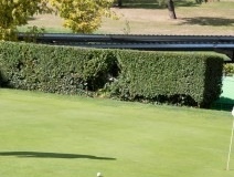 II-Torneo-Internacional-de-Golf-Contract-83-106x150@2x