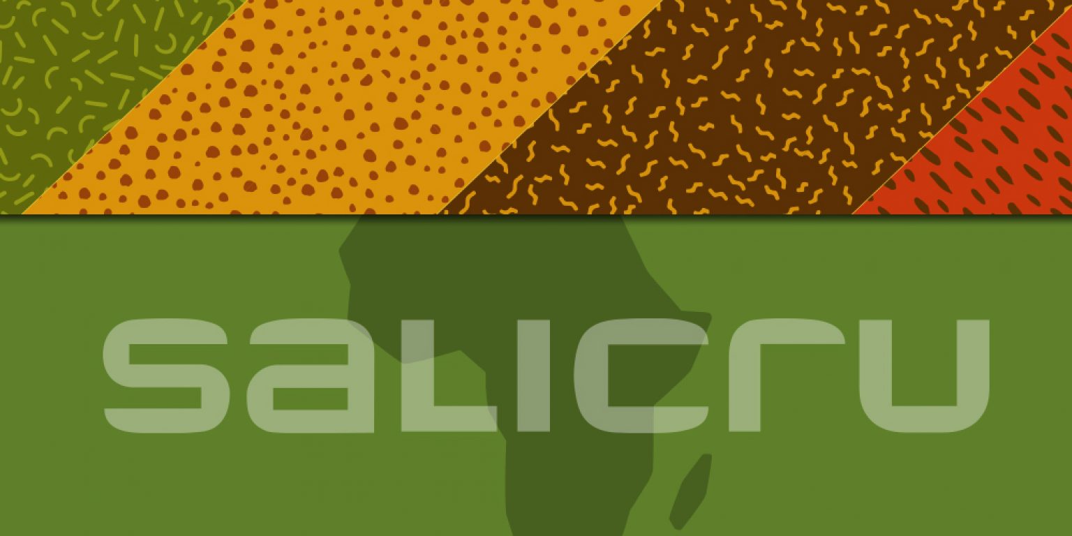Salicru crea una división en África