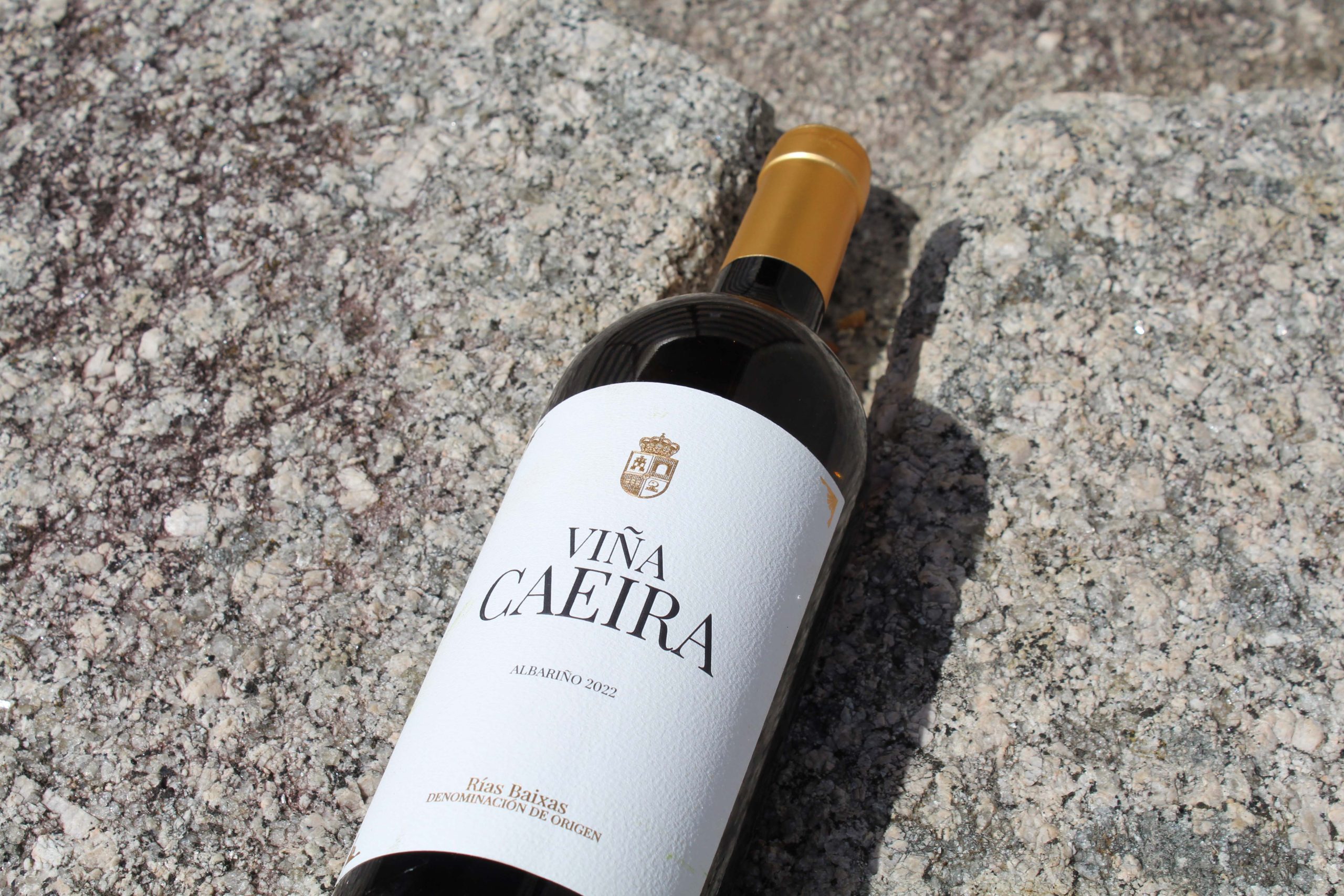 Carlos Moro presenta ‘Viña Caeira’, el primer vino de su bodega en Rías Baixas