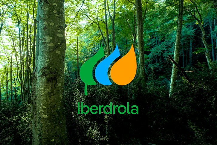 Iberdrola presenta su nuevo logo