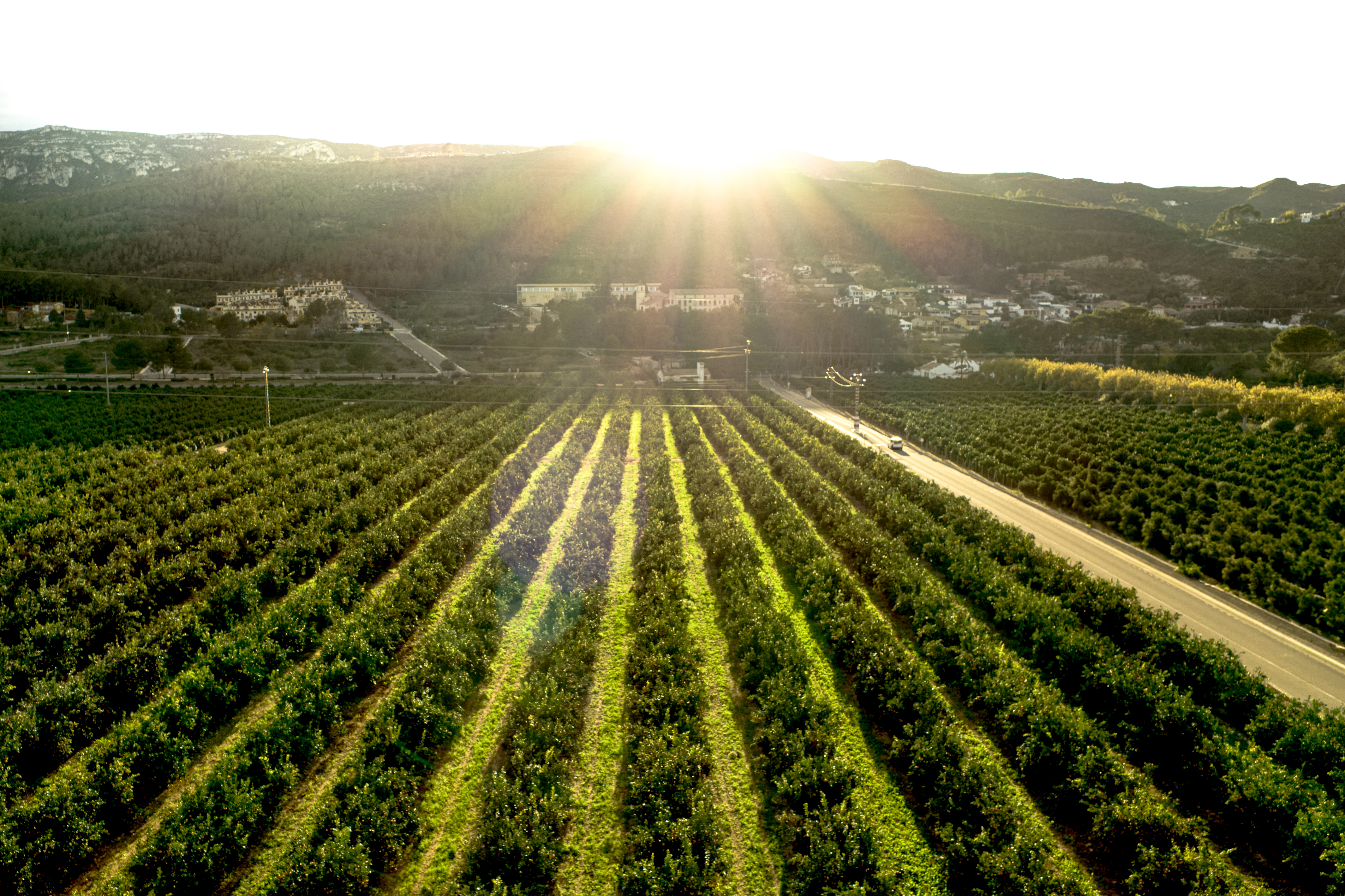 Bollo Natural Fruit presenta el movimiento ‘Natural Change’